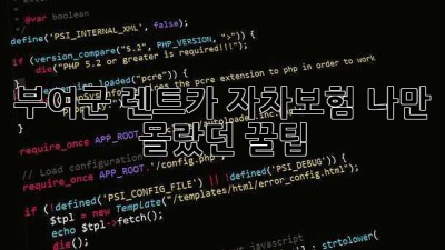 부여군 렌트카 자차보험, 나만 몰랐던 꿀팁🍯