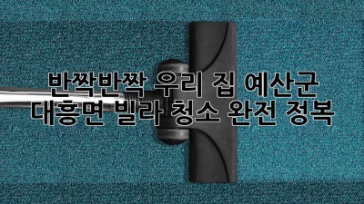 ✨ 반짝반짝 우리 집! 예산군 대흥면 빌라 청소 완전 정복 🏡
